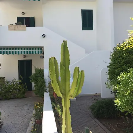 Baia * غالّيبولي