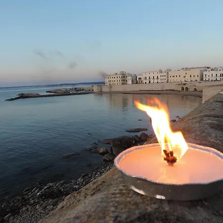 شقة Baia